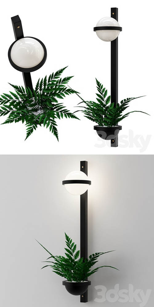 Palma wall lamp
