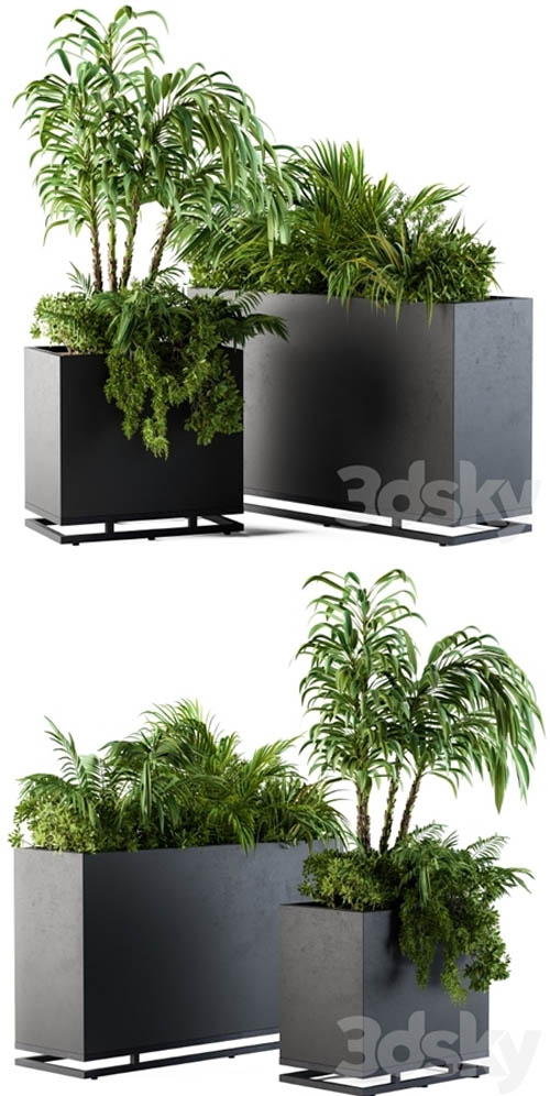 Plant box metal compact04