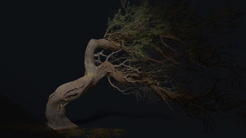 Artstation - Foliage Tree Creation in Maya and Zbrush Tutorial and Assets