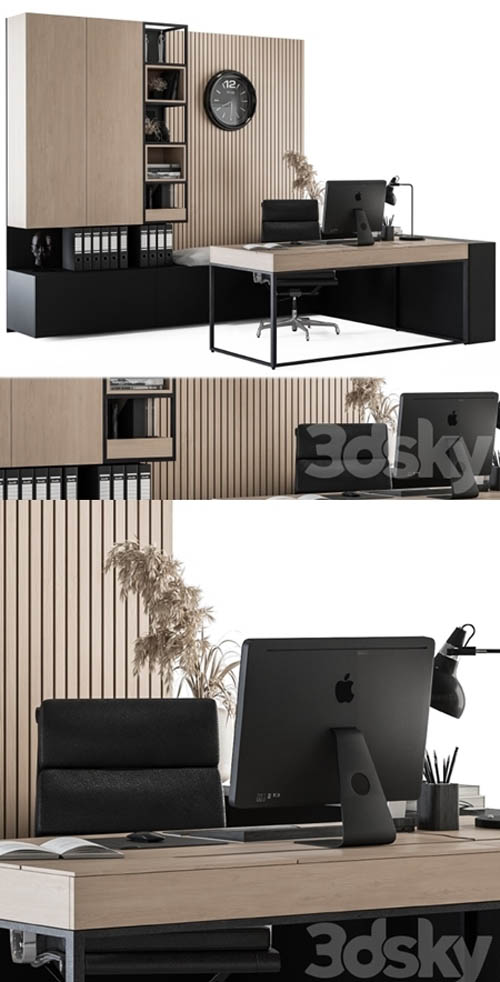 Office Furniture - Manager Set 11