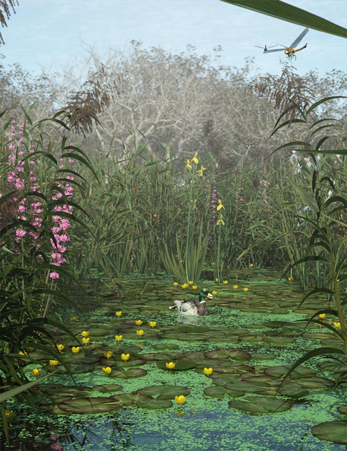 Wetlands Low Res Plants for Vol 2 - Flowering Plants » Daz3D and Poses ...