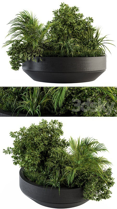 Outdoor Plants tree in Concrete Pot - Set 144
