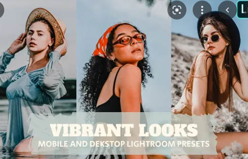Vibrant Looks Lightroom Presets Dekstop and Mobile