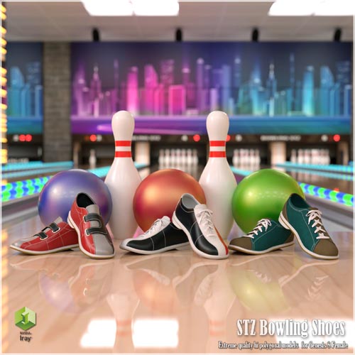 STZ Bowling Shoes