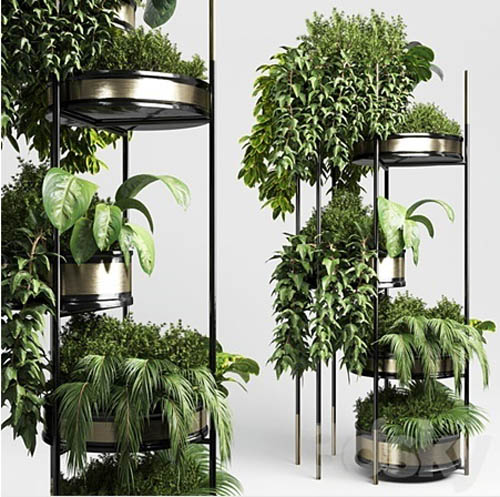 collection Indoor plant plant stairs stand metal vase 10
