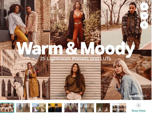 25 Warm and Moody Lightroom Presets - 10225583