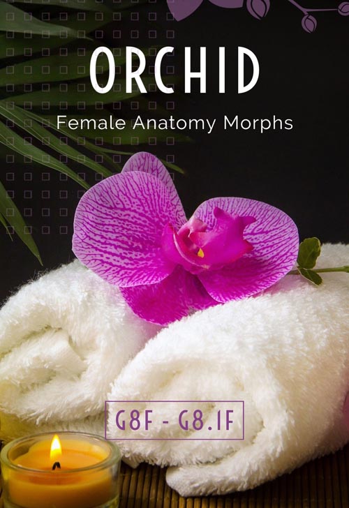Orchid - Genital Morphs for G8F Anatomy