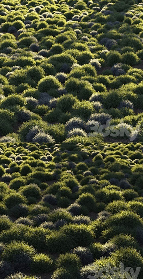 Round grass