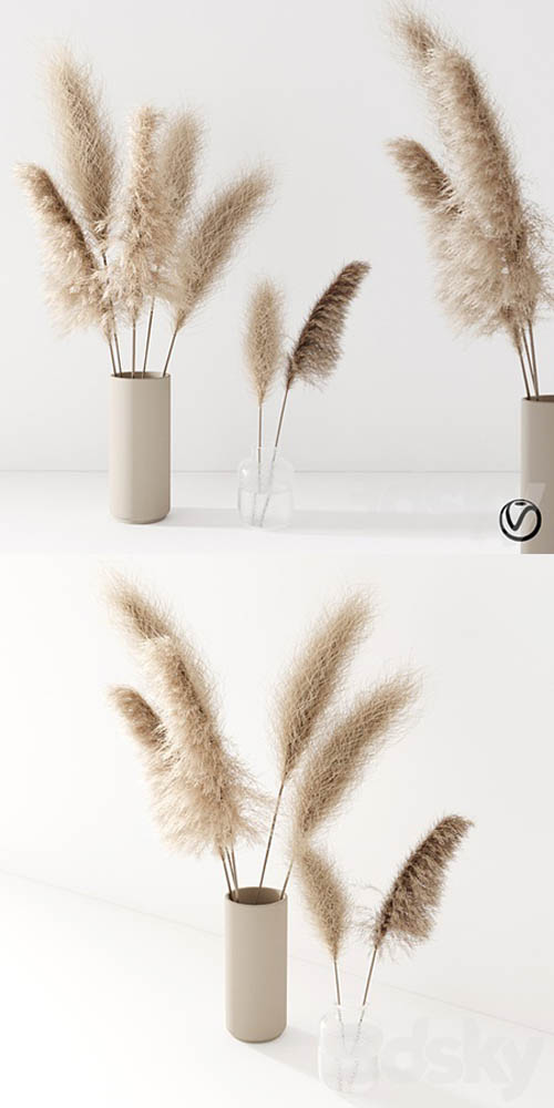 Set of pampas in vase