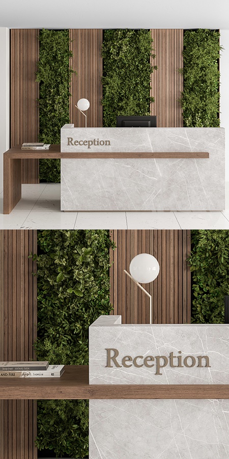 Reception Desk and Wall Decor with vertical Garden - Office Set 238