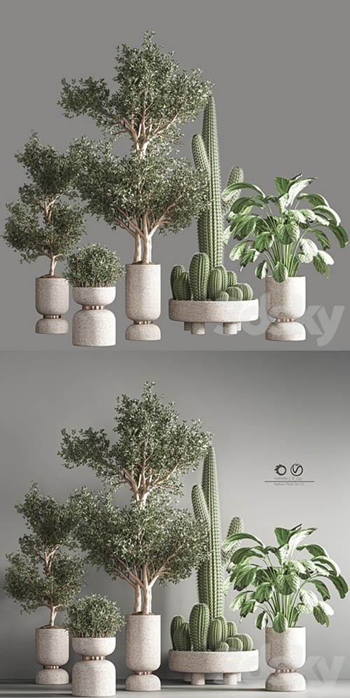 indoor plant set 26