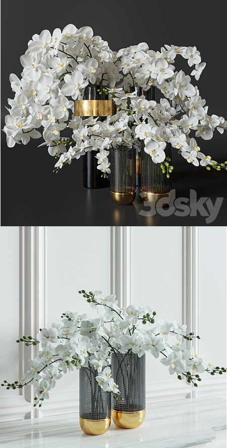 Flower Set 009 Orchids