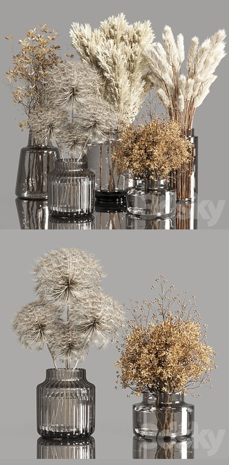 Collection Dry Plants Bouquet Indoor 02