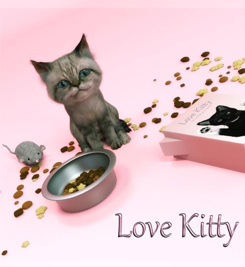 Love Kitty