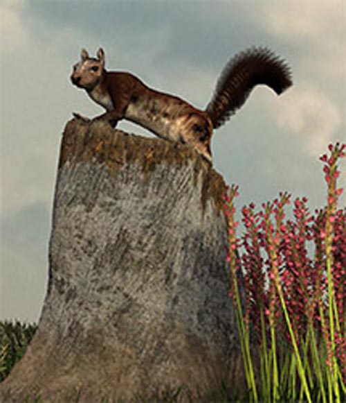 Logs and Stumps for DAZ Studio