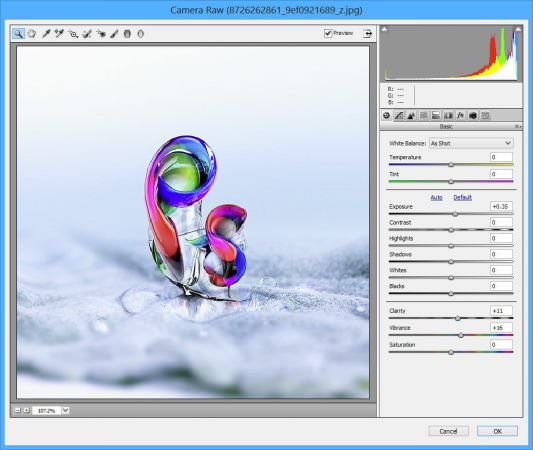 Adobe Camera Raw 15.1 Win x64