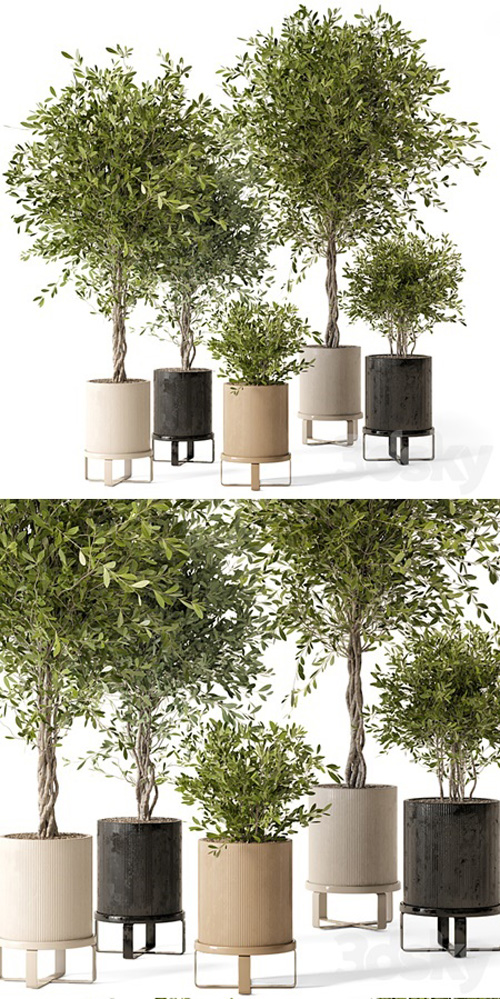 Indoor Plants in Ferm Living Bau Pot Large - Set 354