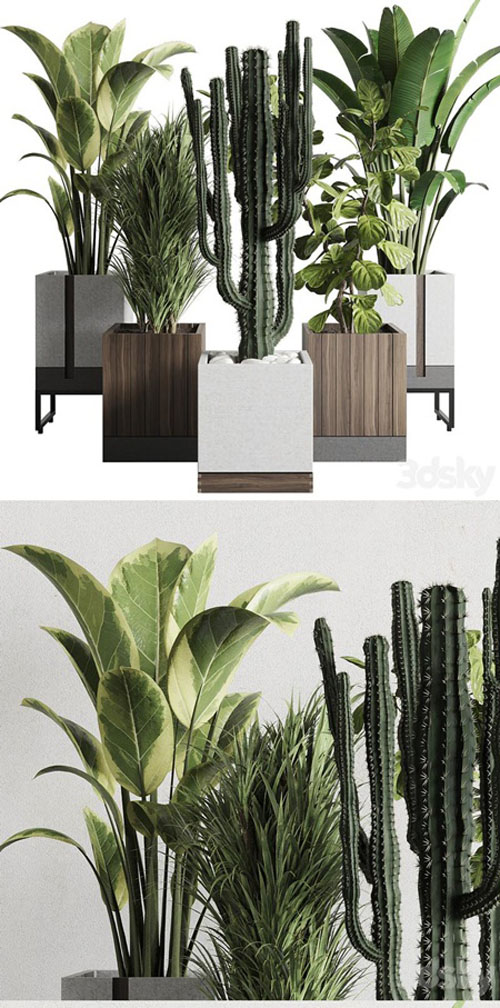 Plant Box Indoor Outdoor Plant 163 - 3D Model