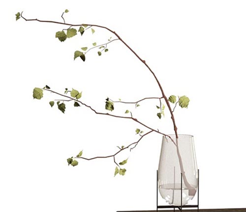 Branch in a vase