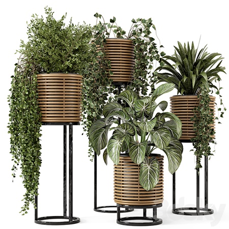 Indoor Plants in natural rattan Pot on Metal Base - Set 592