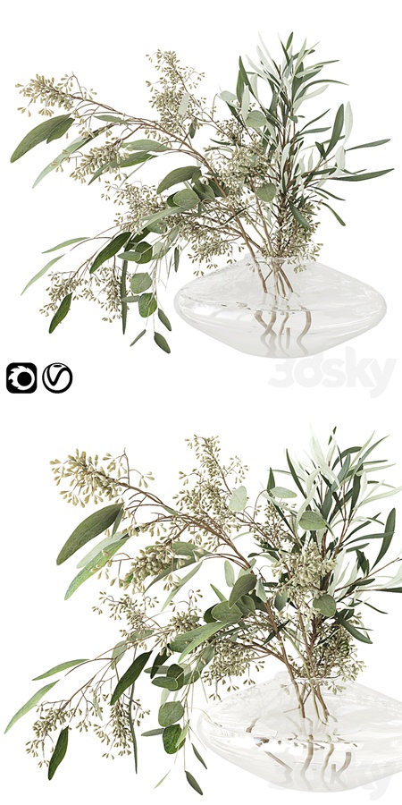 Eucalyptus bouquet