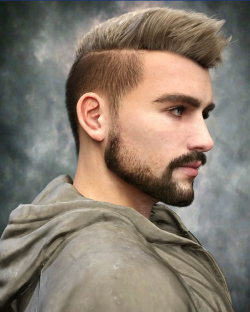 Mavick Hair and Beard for Genesis 8 and 9