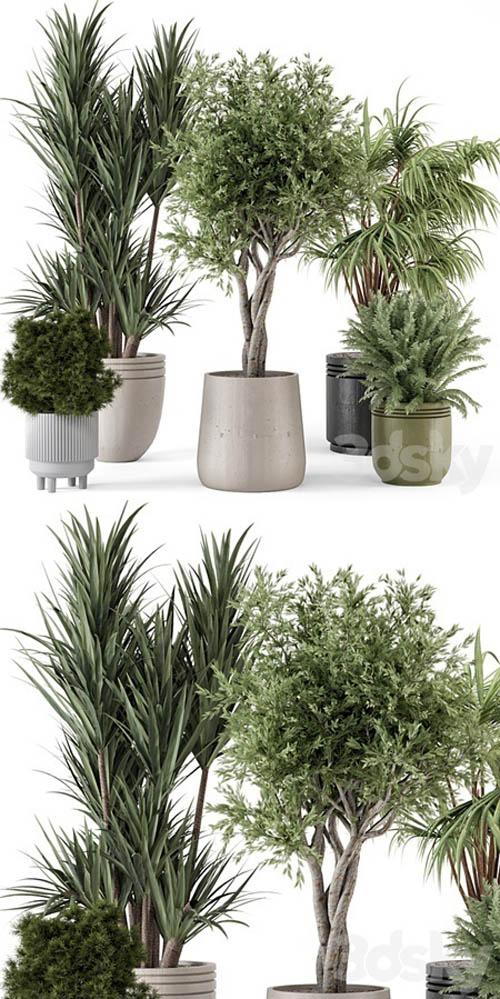 Indoor Plants in Ferm Living Bau Pot Large - Set 817