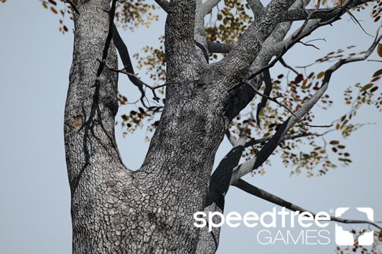 SpeedTree Games 9.3.0 Enterprise Win x64