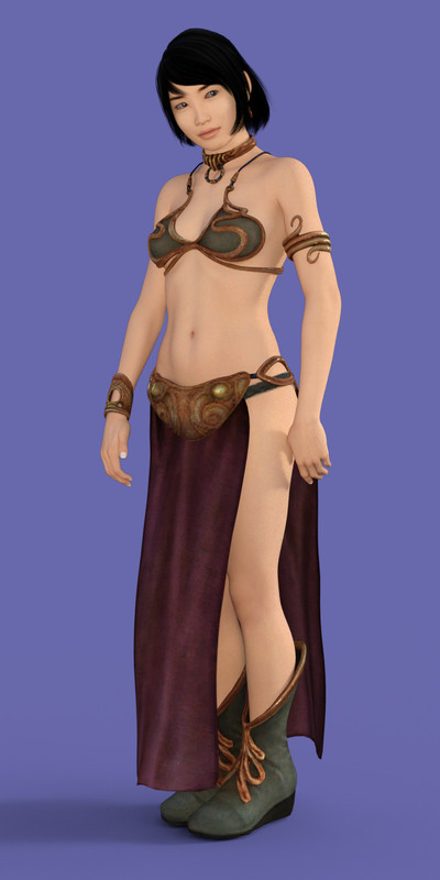 Leia Slave Outfit