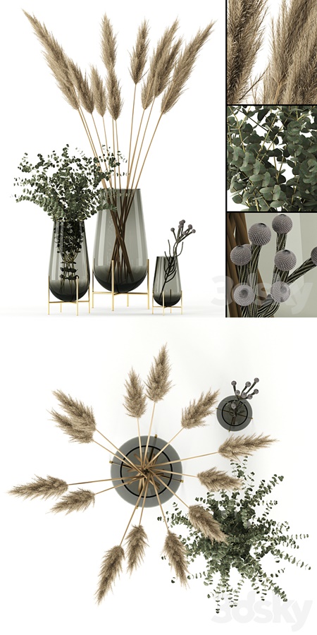 Plants in Echasse Vases
