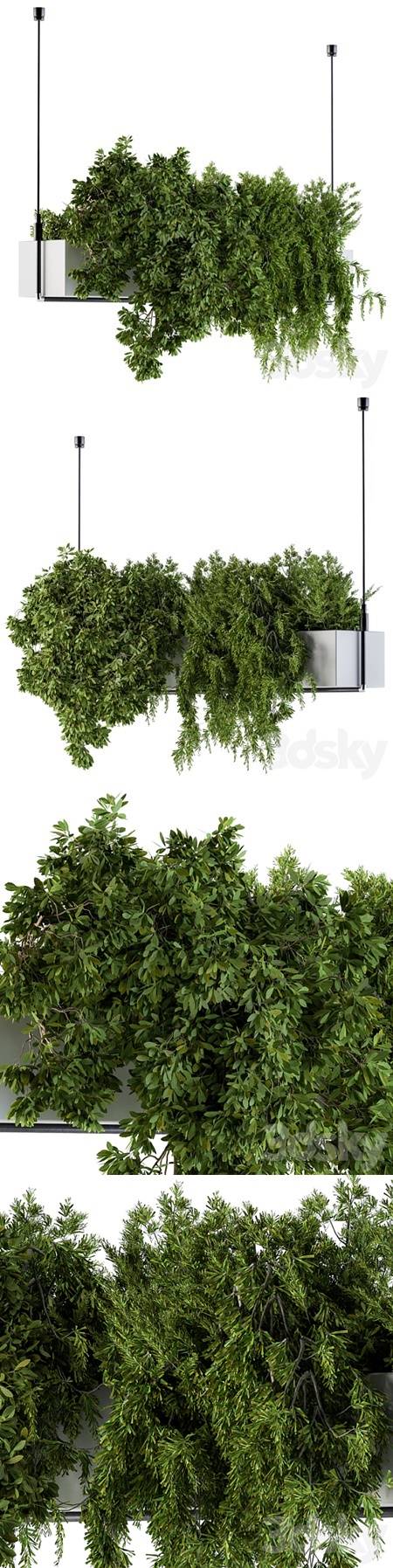 Hanging box plant - Set 70