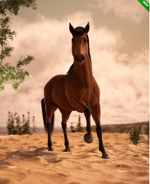 Mighty Stallion Poses for Daz Horse 3