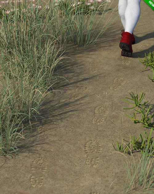 Tracks and Footprint Decals for Daz Studio 