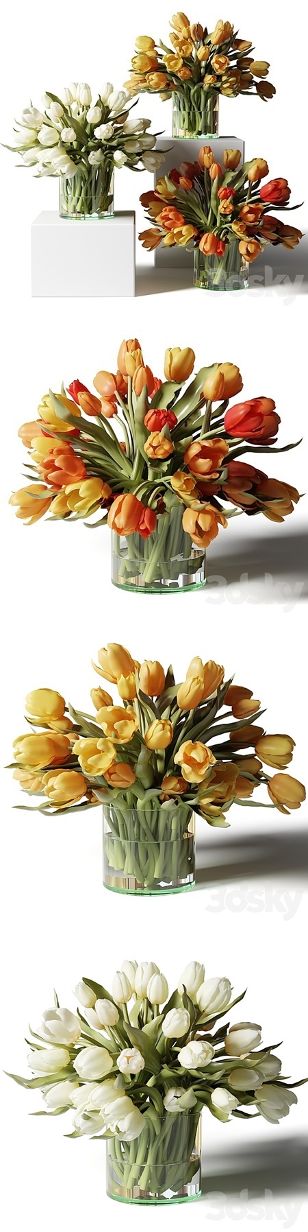 Yellow, red and white tulips in glass vases