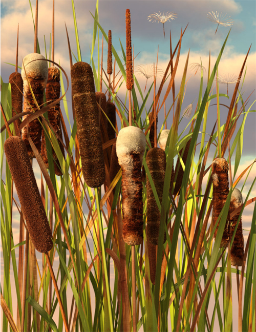 Rigged Cattail Reeds