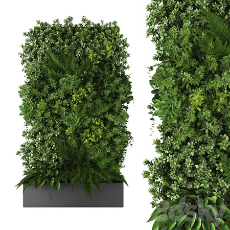 vertical garden167