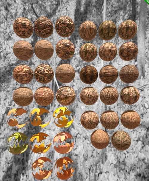 Fall Wood Textures Resources