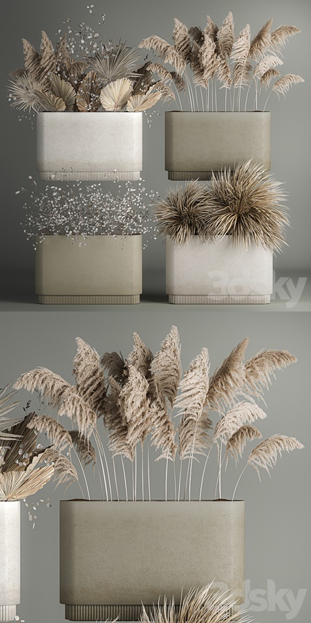 Collection of plants from dried flowers, moonflower, a bouquet of dry palm branches, dry grass d