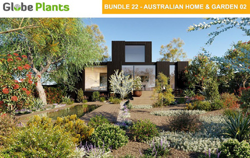 Globe Plants - Bundle 22 - Australian Home & Garden 02