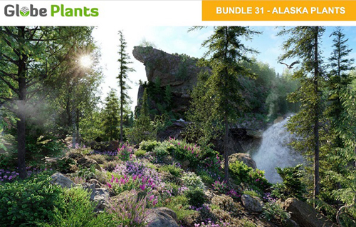 Globe Plants - Bundle 31 - Alaskan Plants