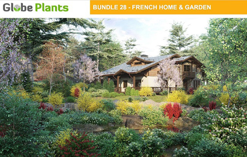 Globe Plants - Bundle 28 - French Home & Garden Plants