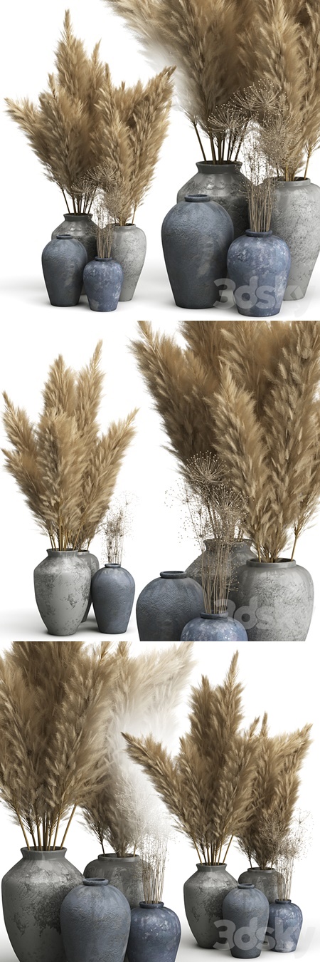 Decorative set of Clay Vases and Pampas Grass