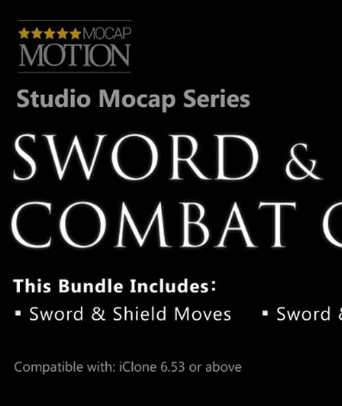 Sword & Shield Combat Combo