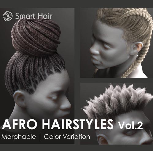 Afro Hairstyles Vol.2