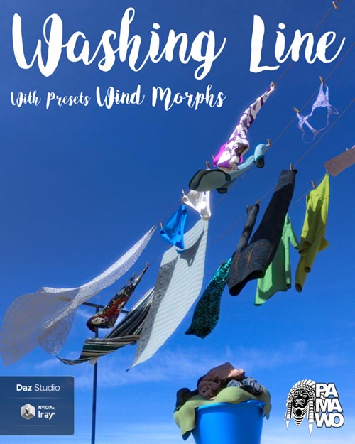 Washing Line For DS