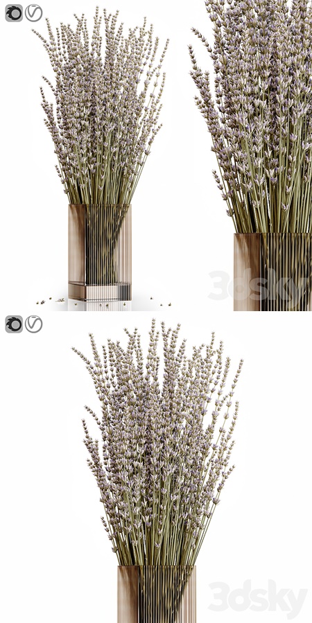 Dry flowers 5 lavender