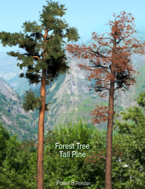 Forest Tree - Tall Pine