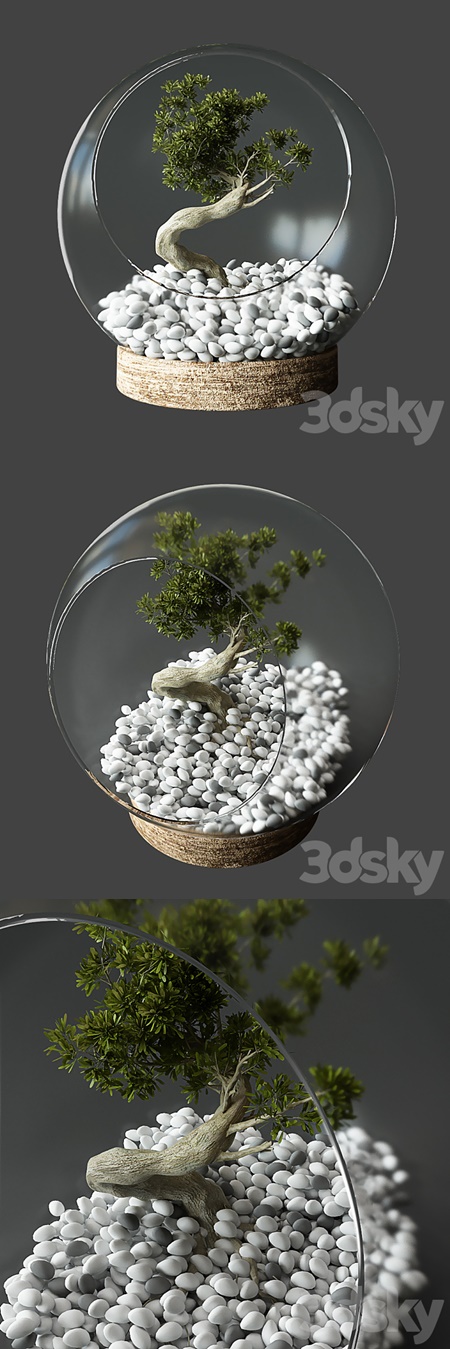 Little Tree In Glass Globe