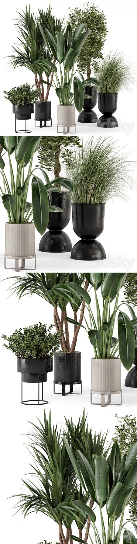 Indoor Plants in Ferm Living Bau Pot Large - Set 312