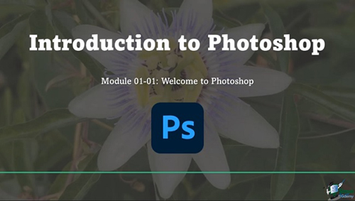 Udemy - Adobe Photoshop CC for Beginners